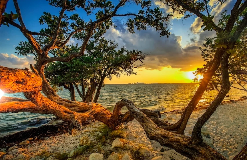 Inquire about the durability and UV resistance of materials used for window graphics.