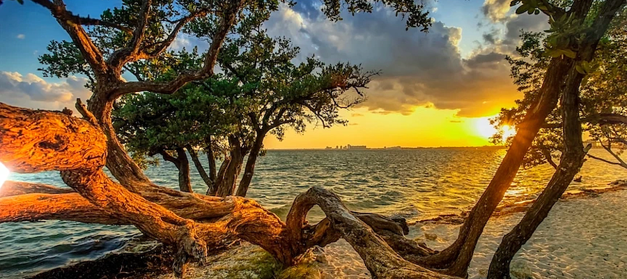 Inquire about the durability and UV resistance of materials used for window graphics.