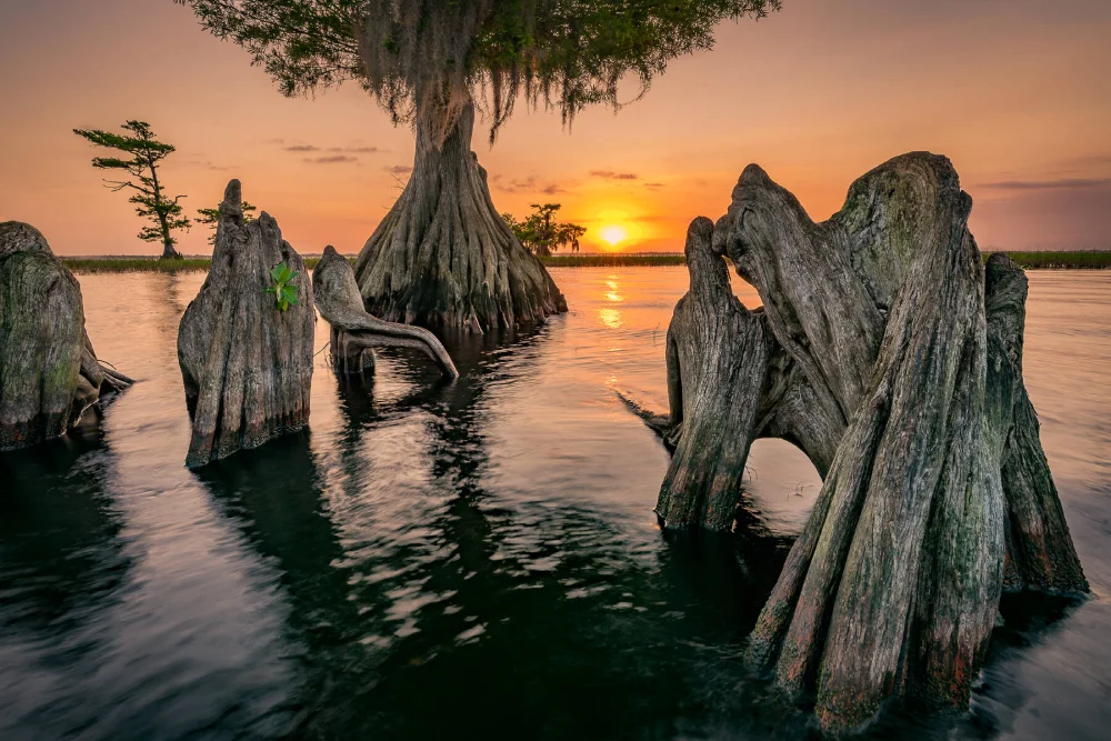 Inquire about the lead times and pricing for custom prop manufacturing.