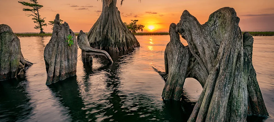 Inquire about the lead times and pricing for custom prop manufacturing.