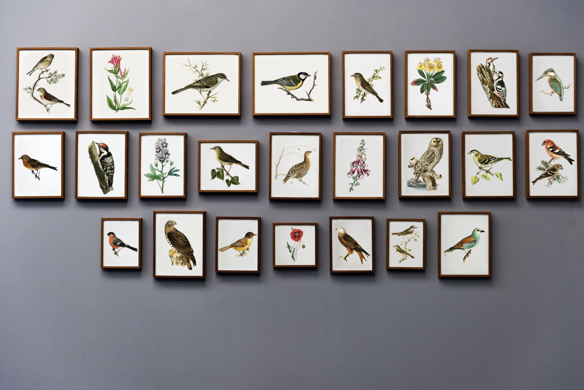Learn tips and tricks for designing and printing your projects effectively.