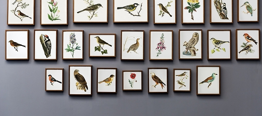Learn tips and tricks for designing and printing your projects effectively.