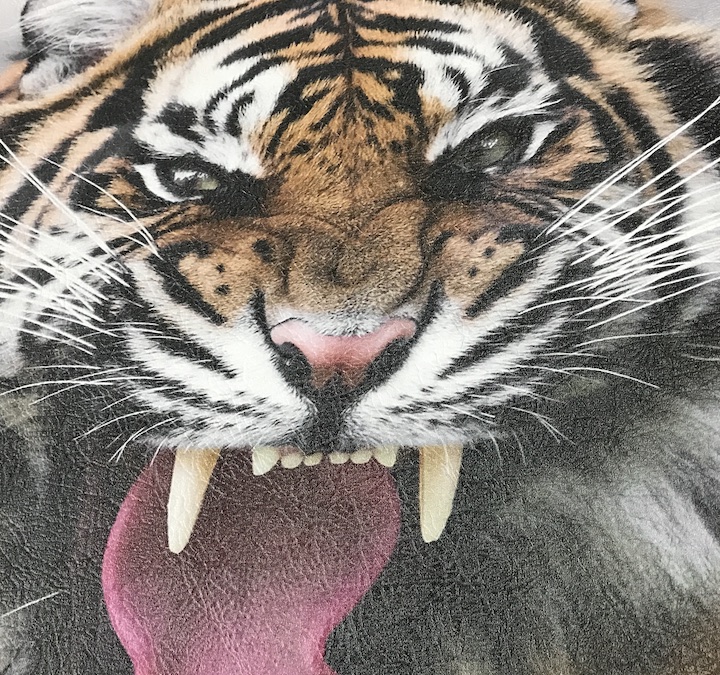 tiger cloth print